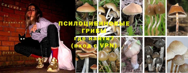 мет Мегион