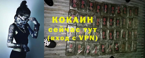ешки Медногорск