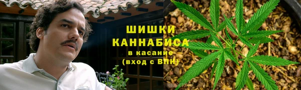 мет Мегион